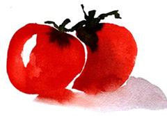 Tomatoes food and drinks