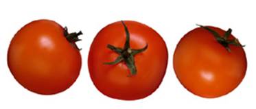 Tomatoes food and drinks