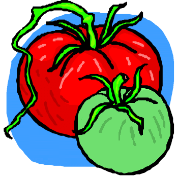 Tomatoes