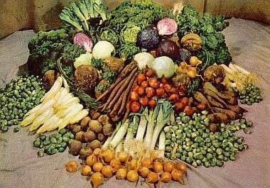 Vegetables