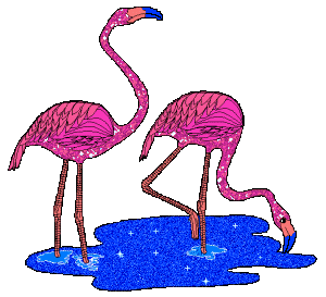 Animals glitter gifs
