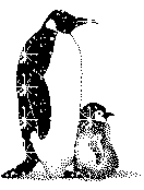 Animals glitter gifs