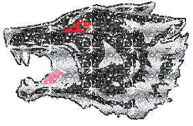 Animals glitter gifs
