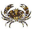 Animals glitter gifs