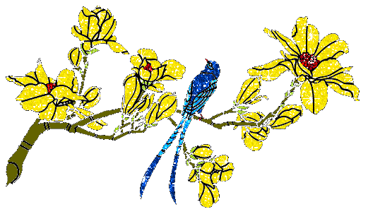 Birds glitter gifs