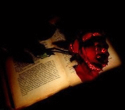 Books glitter gifs