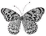 black and whiter butterfly glitter