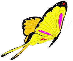 Butterfly glitter gifs