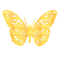 Butterfly glitter gifs