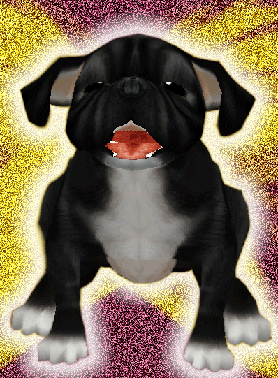 Dogs glitter gifs