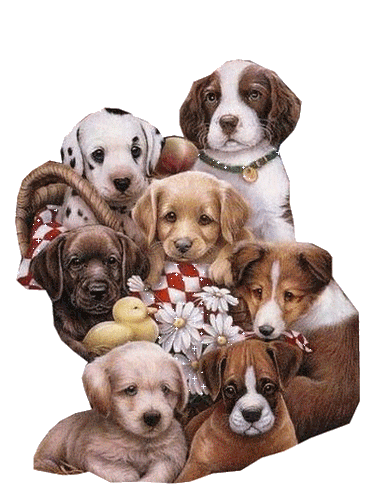 Dogs glitter gifs