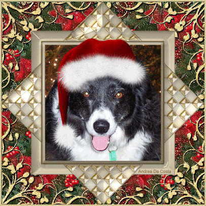 Dogs glitter gifs