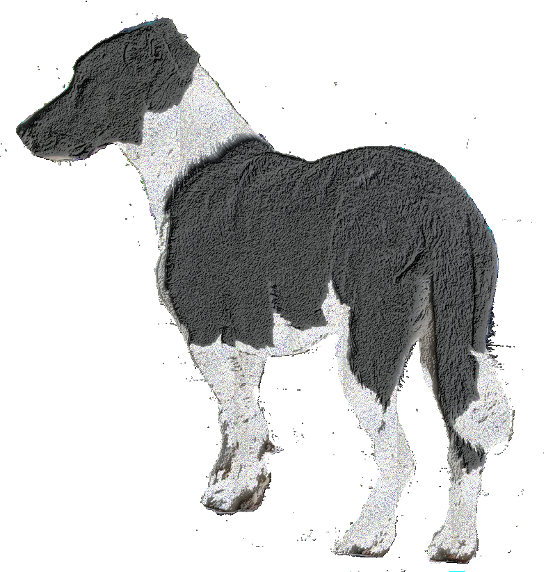 Dogs glitter gifs