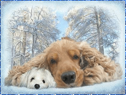 Dogs glitter gifs