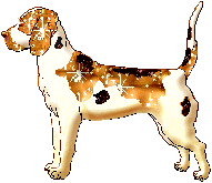 Dogs glitter gifs