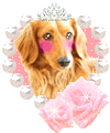 Dogs glitter gifs