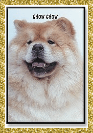 Dogs glitter gifs