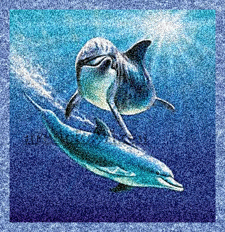Dolphins glitter gifs