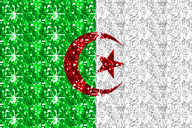Flags glitter gifs