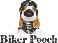 Glitter text glitter gifs
