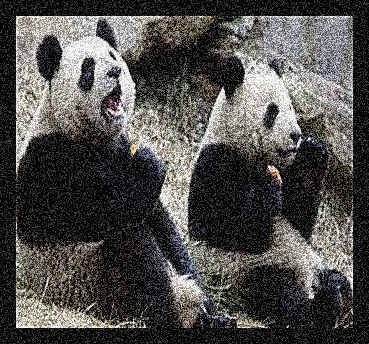 Panda bears glitter gifs