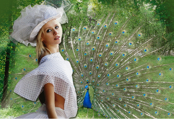 Peacock glitter gifs