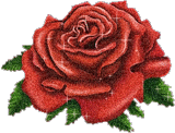 picgifs-roses-4681166.gif