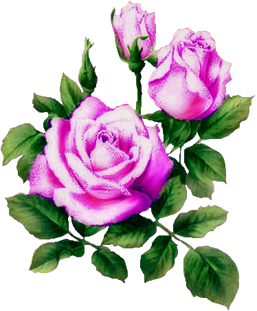 Поздравляем с Днем Рождения Раису (Raya) Picgifs-roses-9686560