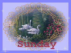 Beautiful Sunday Glitter Graphics Comments Gifs Memes And Greetings ...