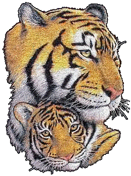 Tigers