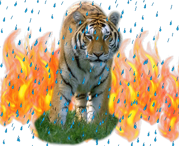 Tigers glitter gifs