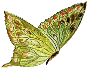 https://www.picgifs.com/glitter-graphics/glitter-graphics/butterflies/glitter-graphics-butterflies-281225.gif