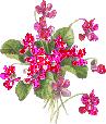 Flowers glitter graphics