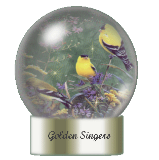 Birds globes