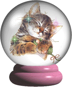 Globes cats globes
