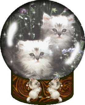 Globes cats