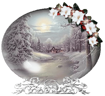 Globes christmas globes
