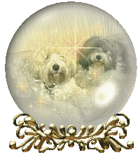 Globes dogs