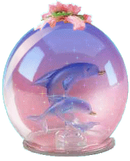 Globes dolphins