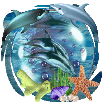 Globes dolphins