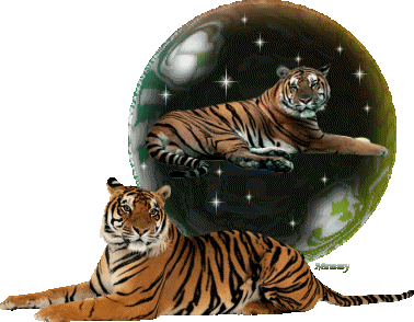 Globes tigers globes