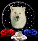 Globes wolves globes
