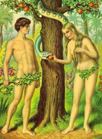 Adam eve