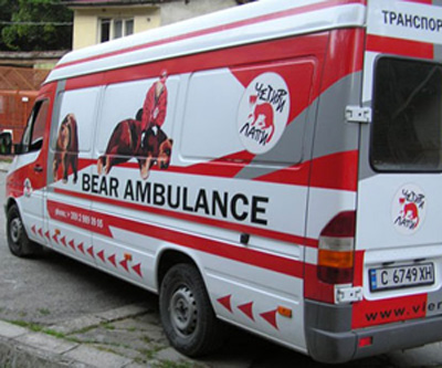 Ambulance