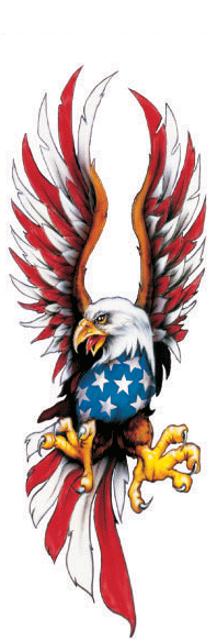 America graphics