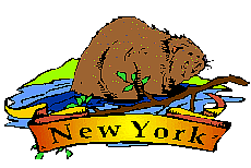 America graphics