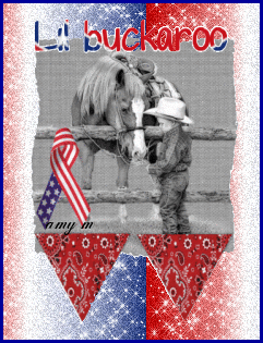 America graphics