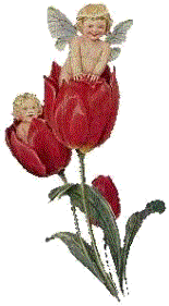 Angels graphics