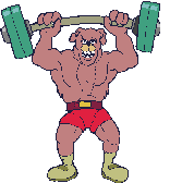 Animals sports graphics