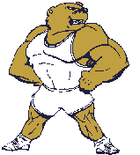 Animals sports graphics